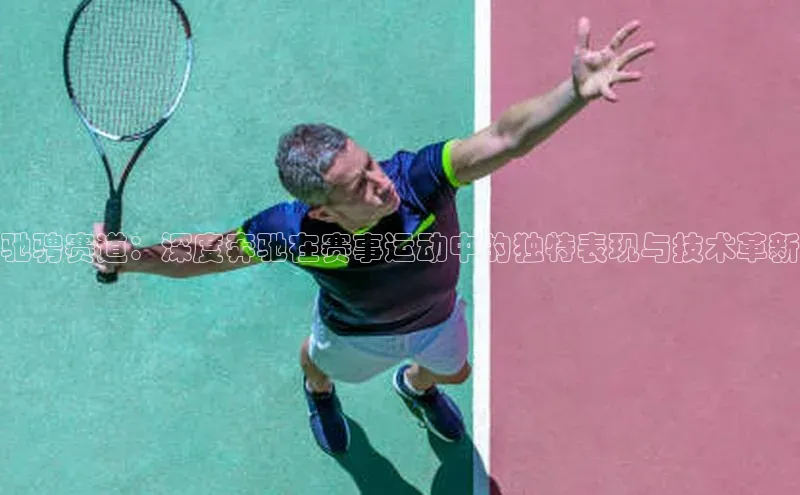 星欧平台免费下载app中海达驰骋赛道：深度奔驰在赛事运动中的独特表现与技术革新