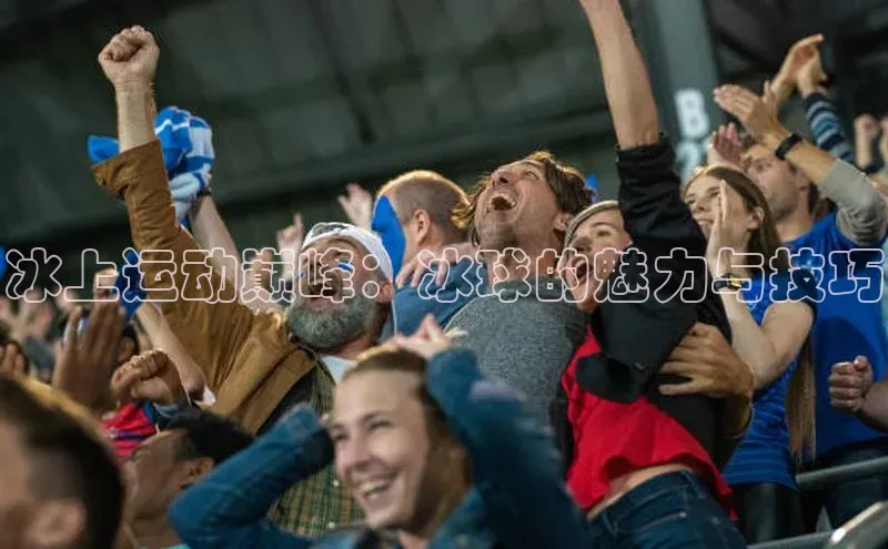 星欧账号登录入口顺丰冰上运动巅峰：冰球的魅力与技巧