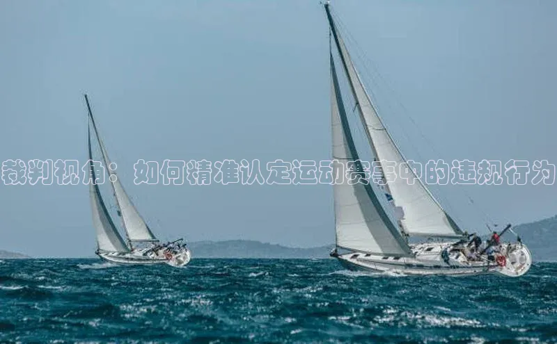 星欧注册开户蓝色光标裁判视角：如何精准认定运动赛事中的违规行为