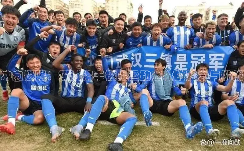 冲向极限：探讨清丰极限运动赛事的魅力与挑战