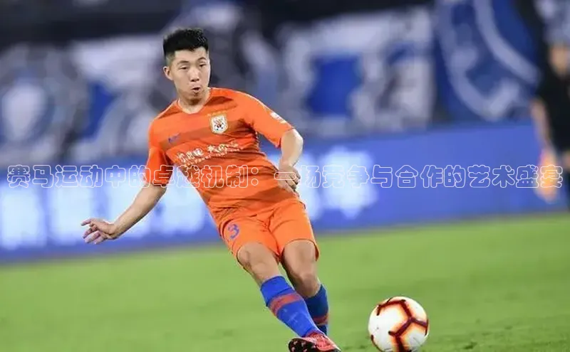 赛马运动中的卓越机制：一场竞争与合作的艺术盛宴