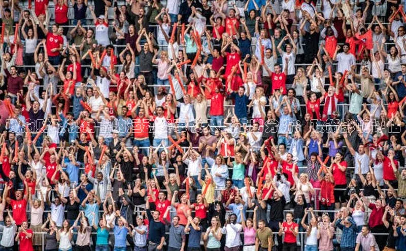 政府财政视角下的运动赛事收入与支出分析：政策影响评估