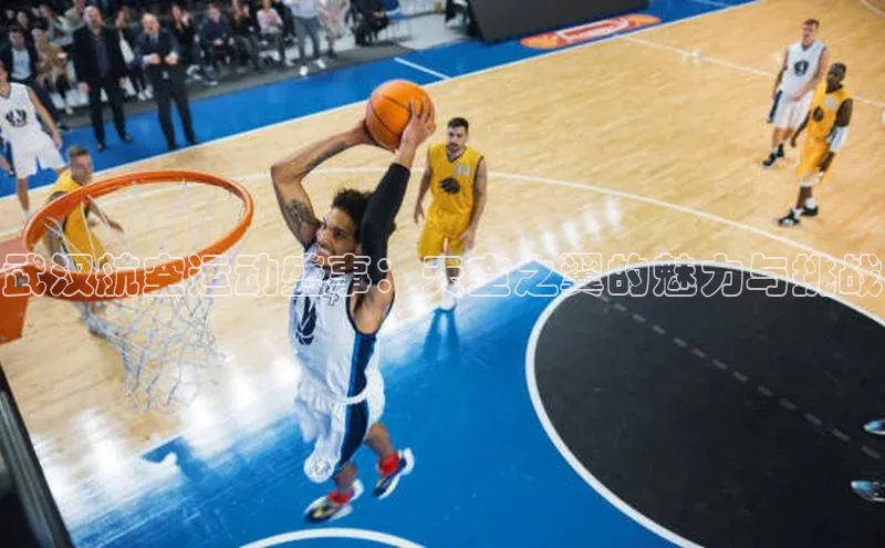 武汉航空运动盛事：天空之翼的魅力与挑战