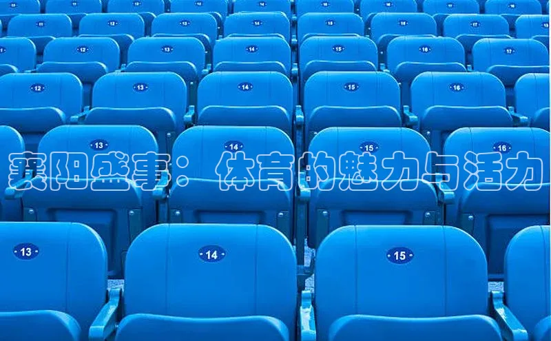 襄阳盛事：体育的魅力与活力