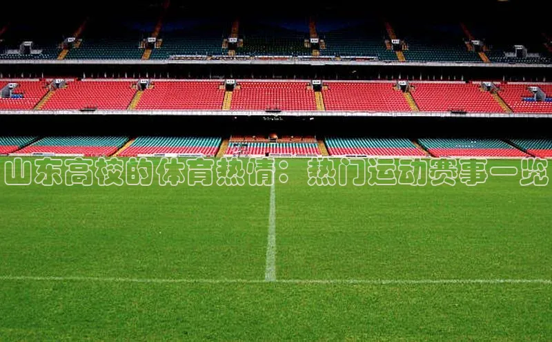 山东高校的体育热情：热门运动赛事一览