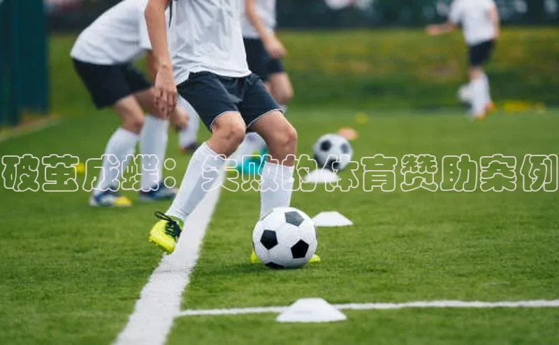 星欧平台官方网站入口