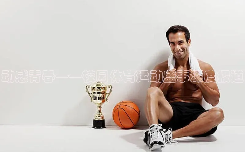 星欧app官方下载