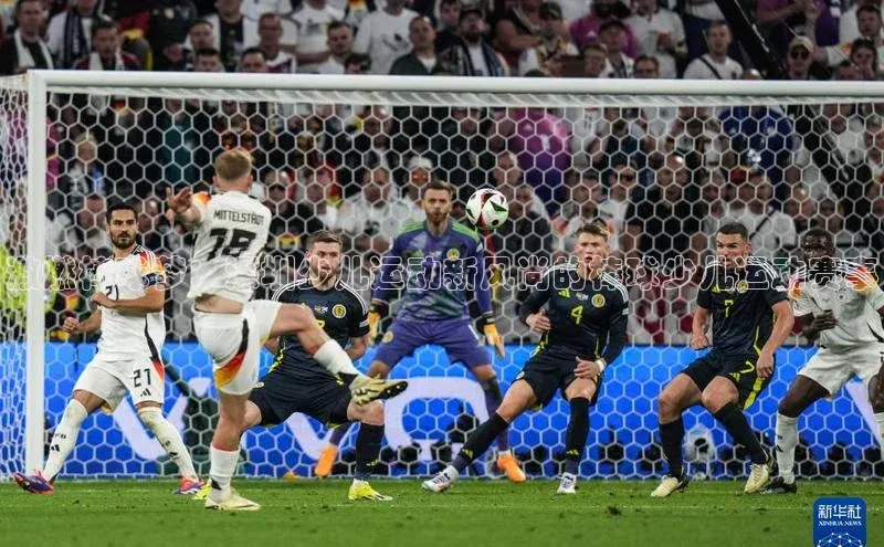 星欧账号登录入口