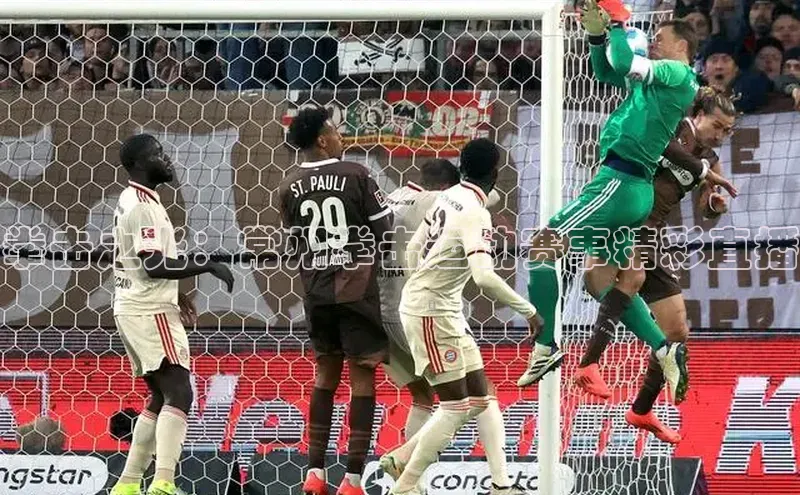 拳击之光：常州拳击运动赛事精彩直播